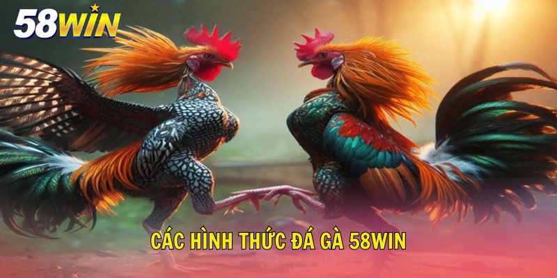 Những hình thức đá gà 58Win